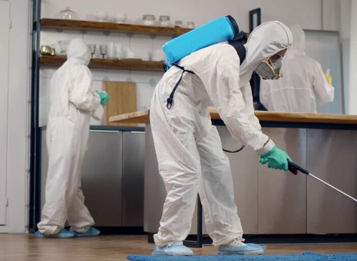 Dezinsecție Brăila – Servicii DDD eficiente pentru insecte și dăunători