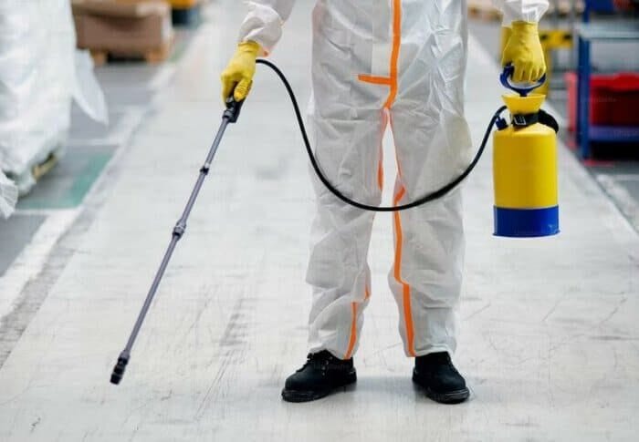 Dezinsecție Buzău profesională – Servicii DDD eficiente pentru casă și firmă