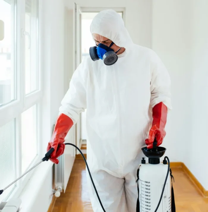 Dezinsecție și dezinfectie Câmpina – Soluții profesionale pentru locuințe și firme