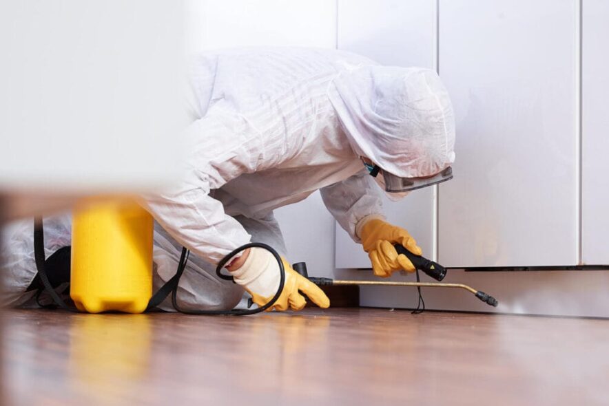 Servicii DDD profesionale Dâmbovița – Curățenie și siguranță garantată